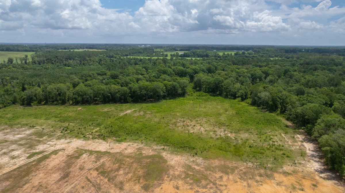 Image for 60.697+/- Acres - Private Homesite & Recreational Tract - Beautiful Hardwoods & Okapilco Creek Frontage