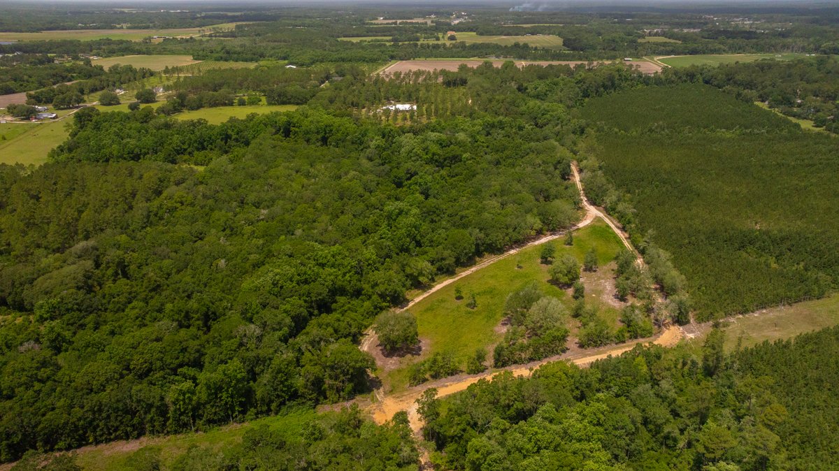 Image for 60.697+/- Acres - Private Homesite & Recreational Tract - Beautiful Hardwoods & Okapilco Creek Frontage