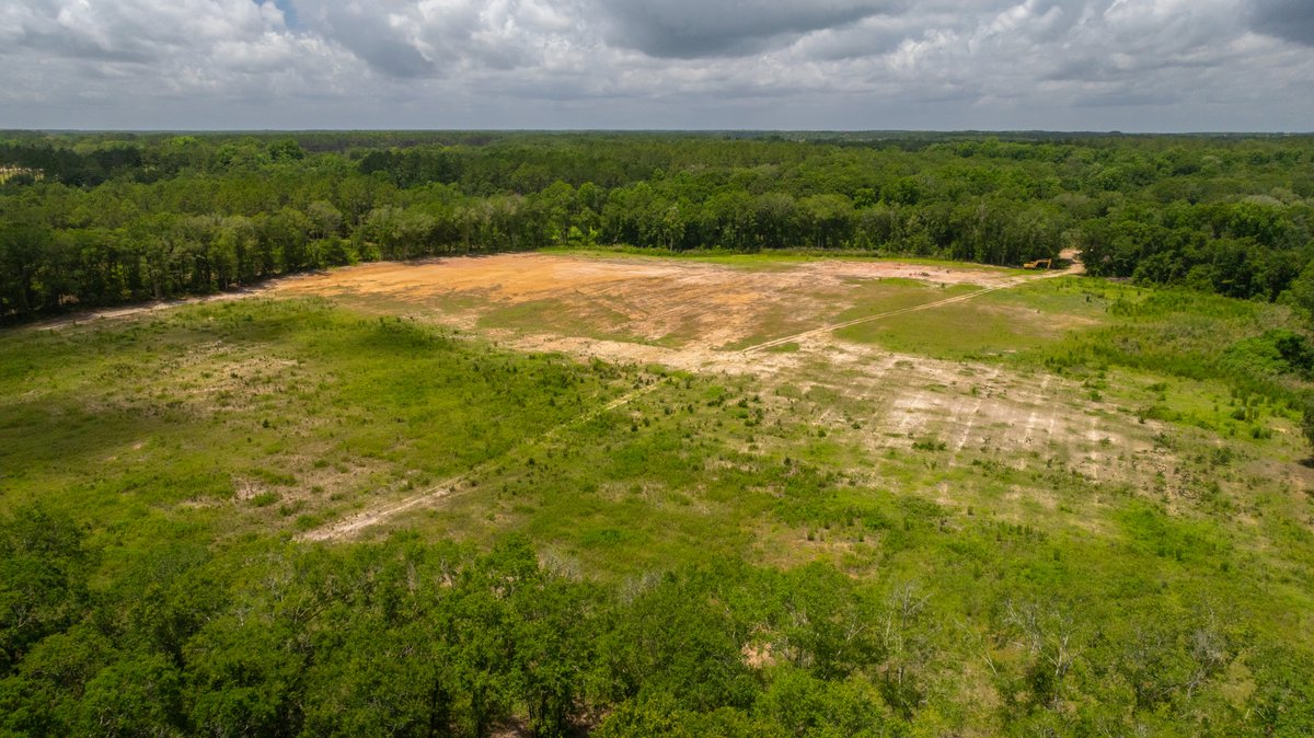 Image for 60.697+/- Acres - Private Homesite & Recreational Tract - Beautiful Hardwoods & Okapilco Creek Frontage