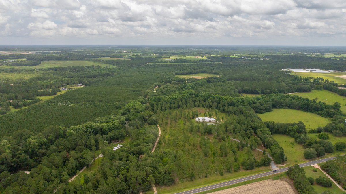 Image for 60.697+/- Acres - Private Homesite & Recreational Tract - Beautiful Hardwoods & Okapilco Creek Frontage