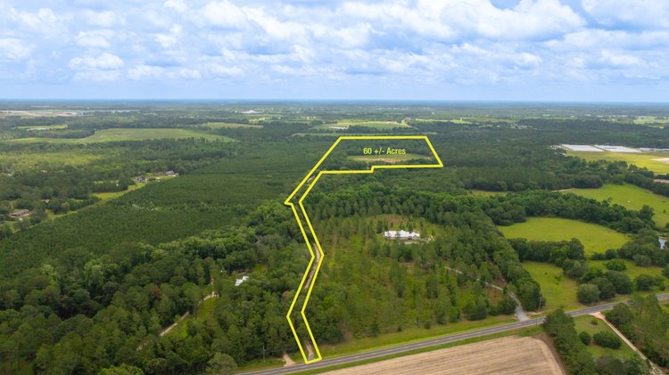 Image for 60.697+/- Acres - Private Homesite & Recreational Tract - Beautiful Hardwoods & Okapilco Creek Frontage