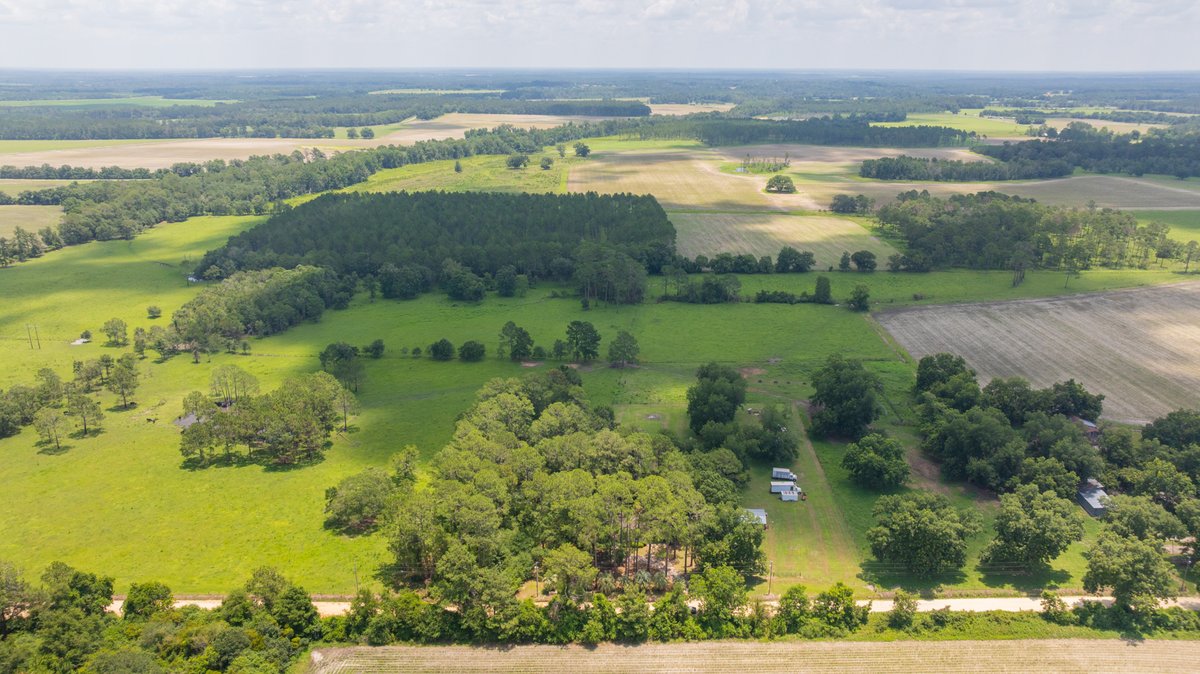 Image for Estate of Eugene 