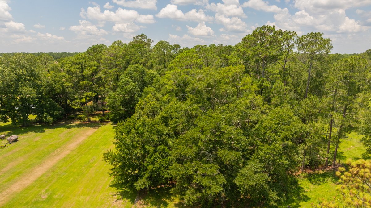 Image for Estate of Eugene 