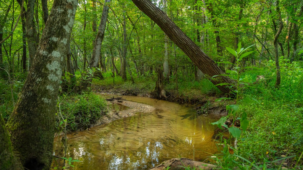 Image for 378 +/- Acres - The Lime Creek Place - (2) Prime Crisp County Recreational Tracts - Offered Divided & As a Whole