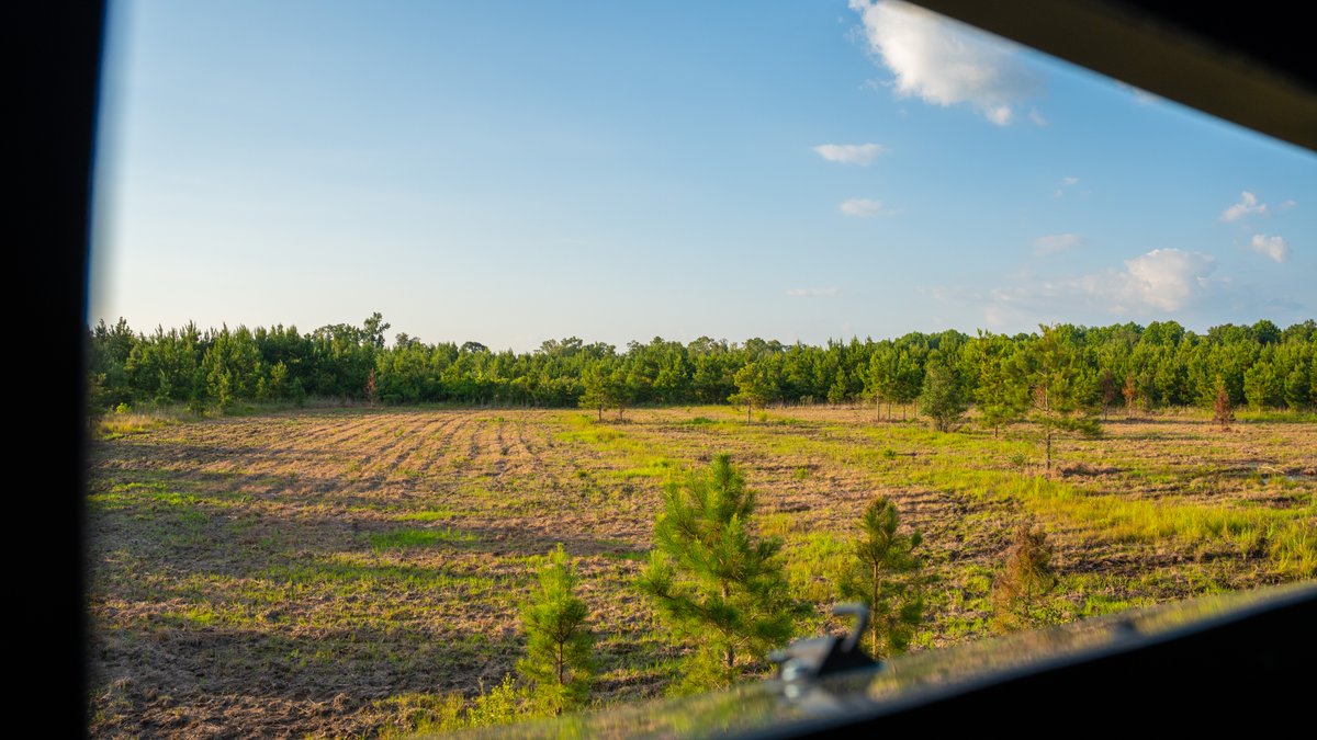 Image for 378 +/- Acres - The Lime Creek Place - (2) Prime Crisp County Recreational Tracts - Offered Divided & As a Whole