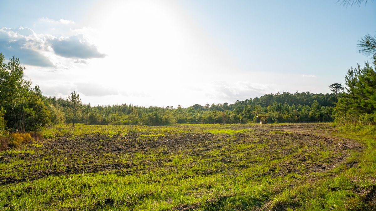 Image for 378 +/- Acres - The Lime Creek Place - (2) Prime Crisp County Recreational Tracts - Offered Divided & As a Whole