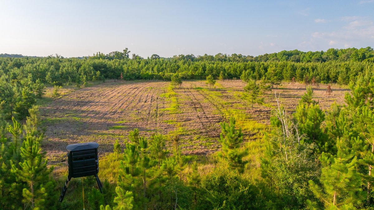 Image for 378 +/- Acres - The Lime Creek Place - (2) Prime Crisp County Recreational Tracts - Offered Divided & As a Whole