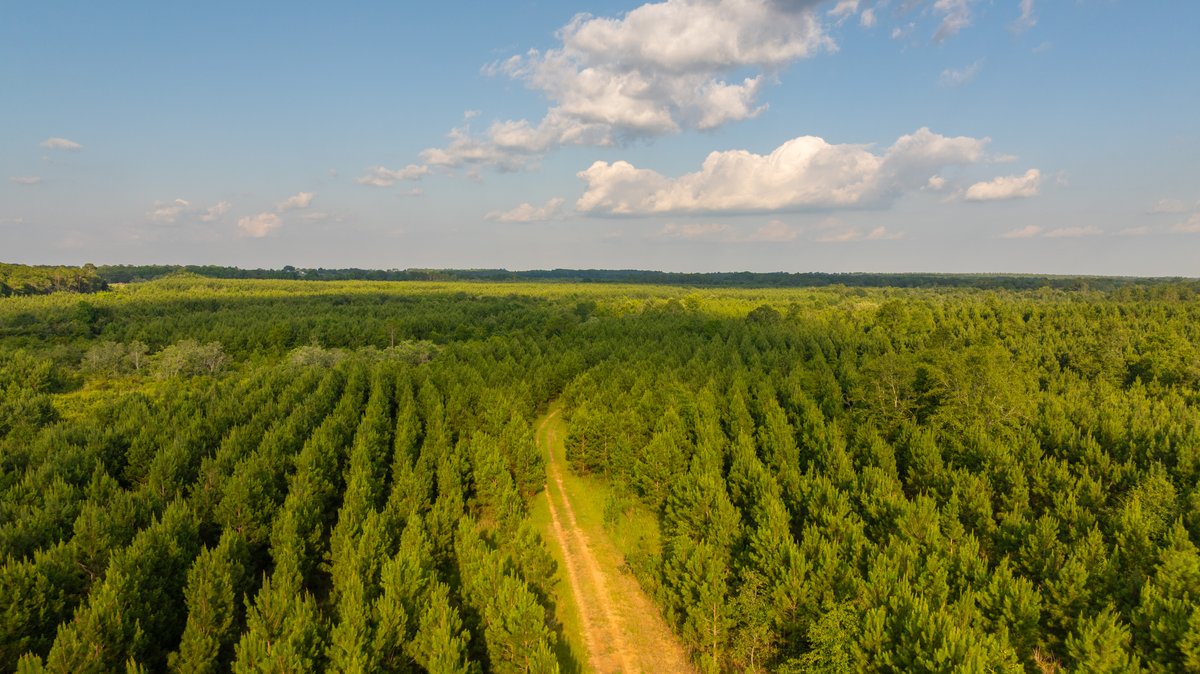Image for 378 +/- Acres - The Lime Creek Place - (2) Prime Crisp County Recreational Tracts - Offered Divided & As a Whole