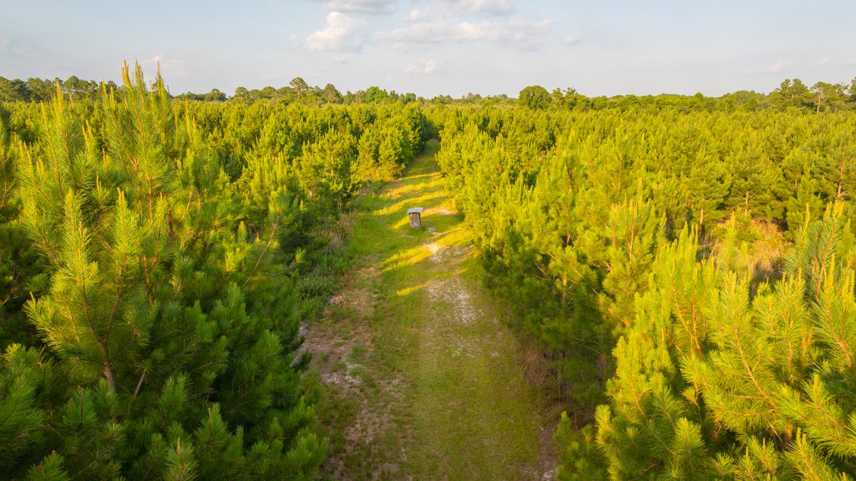 Image for 378 +/- Acres - The Lime Creek Place - (2) Prime Crisp County Recreational Tracts - Offered Divided & As a Whole