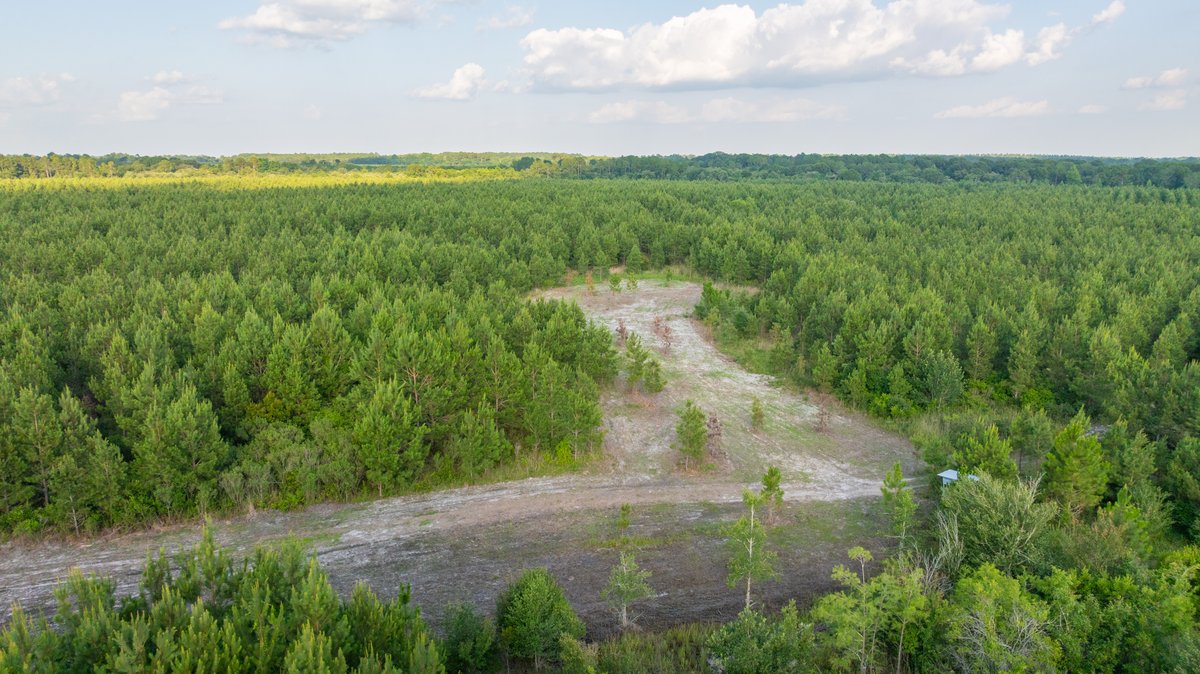 Image for 378 +/- Acres - The Lime Creek Place - (2) Prime Crisp County Recreational Tracts - Offered Divided & As a Whole