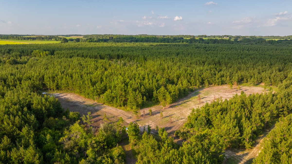 Image for 378 +/- Acres - The Lime Creek Place - (2) Prime Crisp County Recreational Tracts - Offered Divided & As a Whole