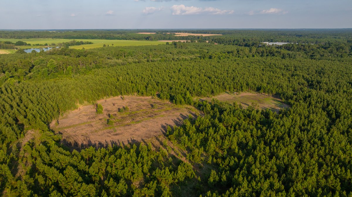 Image for 378 +/- Acres - The Lime Creek Place - (2) Prime Crisp County Recreational Tracts - Offered Divided & As a Whole