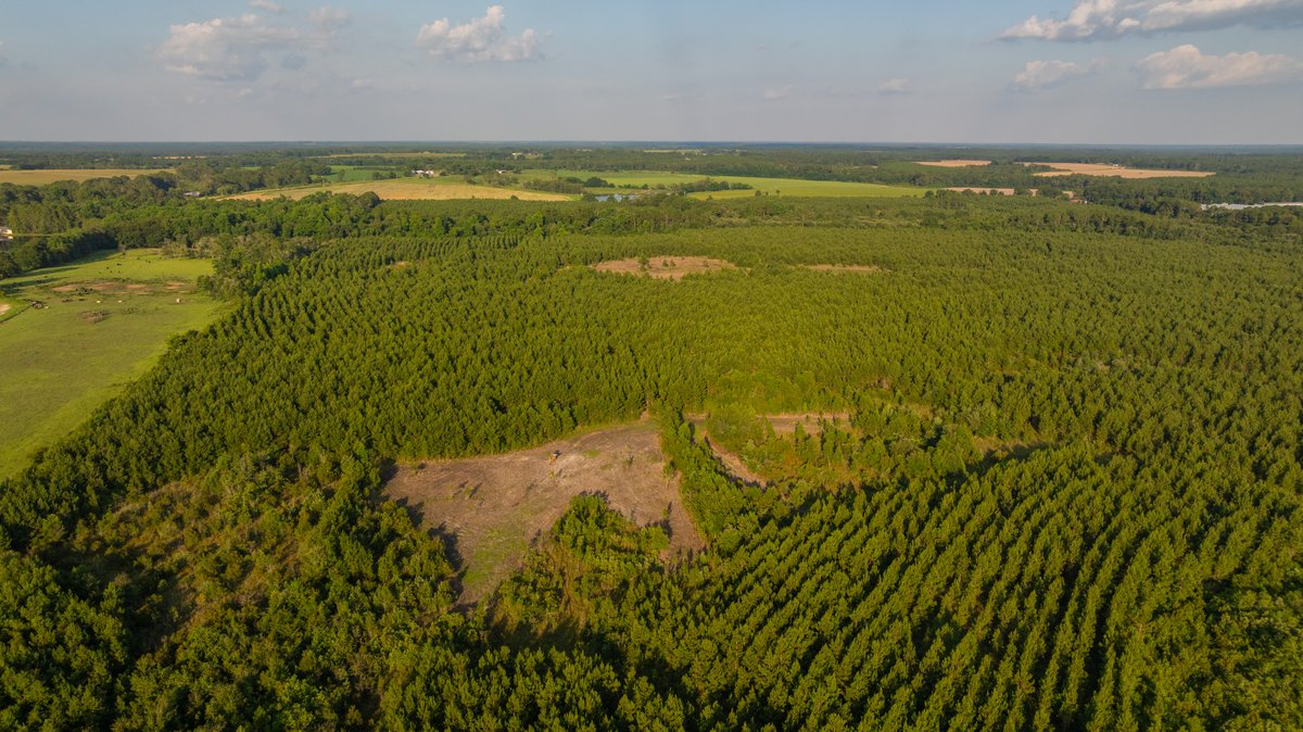 Image for 378 +/- Acres - The Lime Creek Place - (2) Prime Crisp County Recreational Tracts - Offered Divided & As a Whole