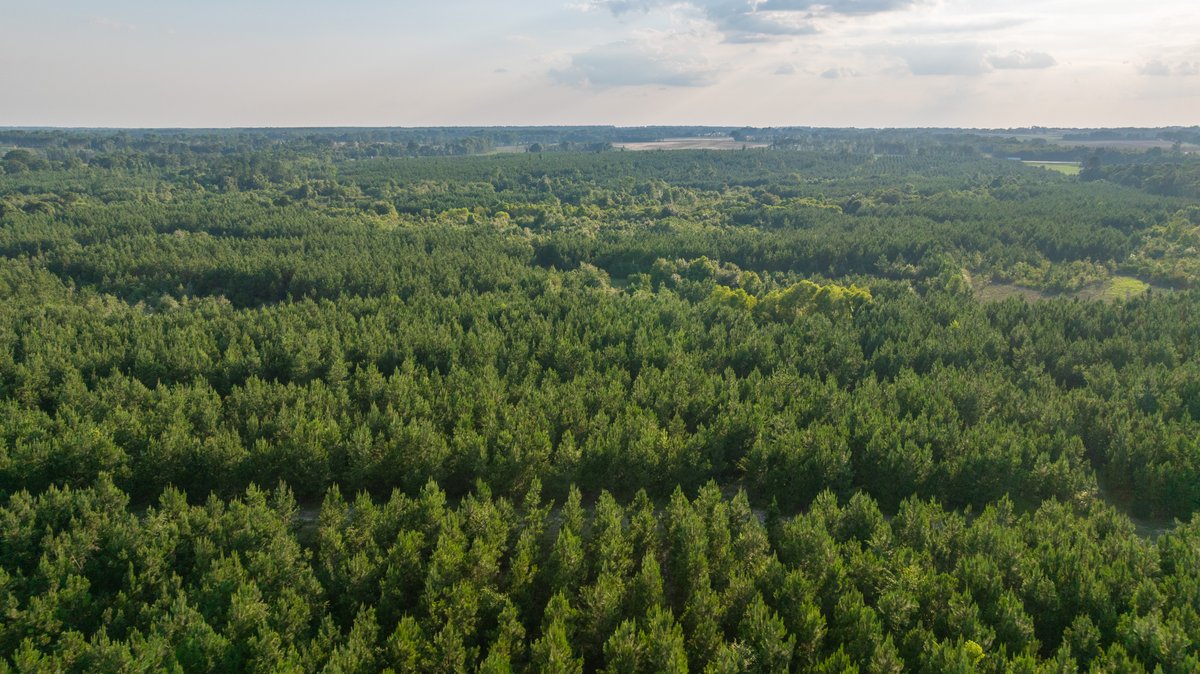 Image for 378 +/- Acres - The Lime Creek Place - (2) Prime Crisp County Recreational Tracts - Offered Divided & As a Whole
