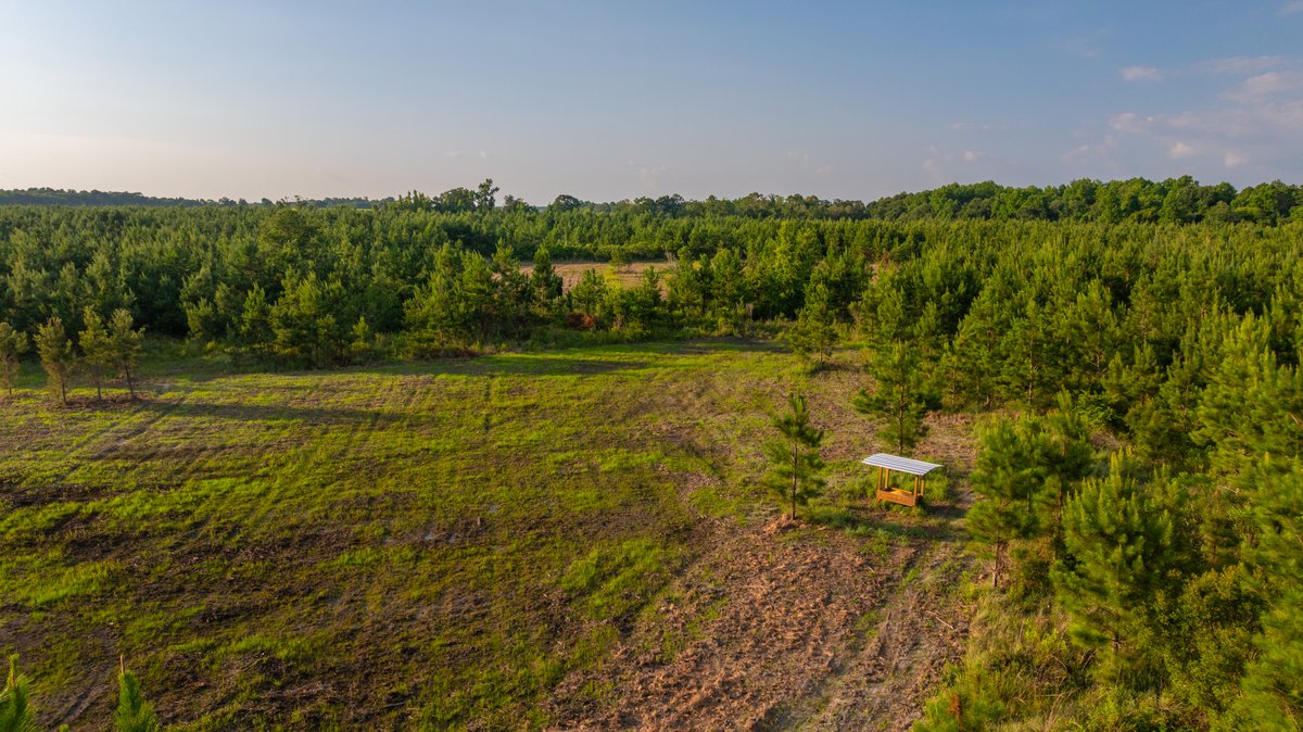 Image for 378 +/- Acres - The Lime Creek Place - (2) Prime Crisp County Recreational Tracts - Offered Divided & As a Whole