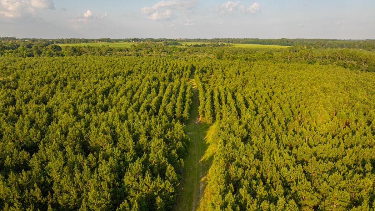 Image for 378 +/- Acres - The Lime Creek Place - (2) Prime Crisp County Recreational Tracts - Offered Divided & As a Whole