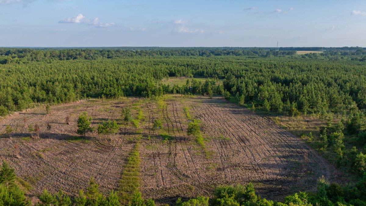 Image for 378 +/- Acres - The Lime Creek Place - (2) Prime Crisp County Recreational Tracts - Offered Divided & As a Whole
