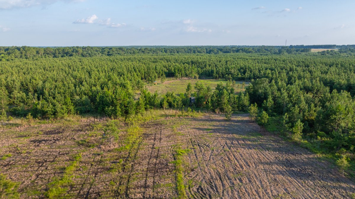 Image for 378 +/- Acres - The Lime Creek Place - (2) Prime Crisp County Recreational Tracts - Offered Divided & As a Whole