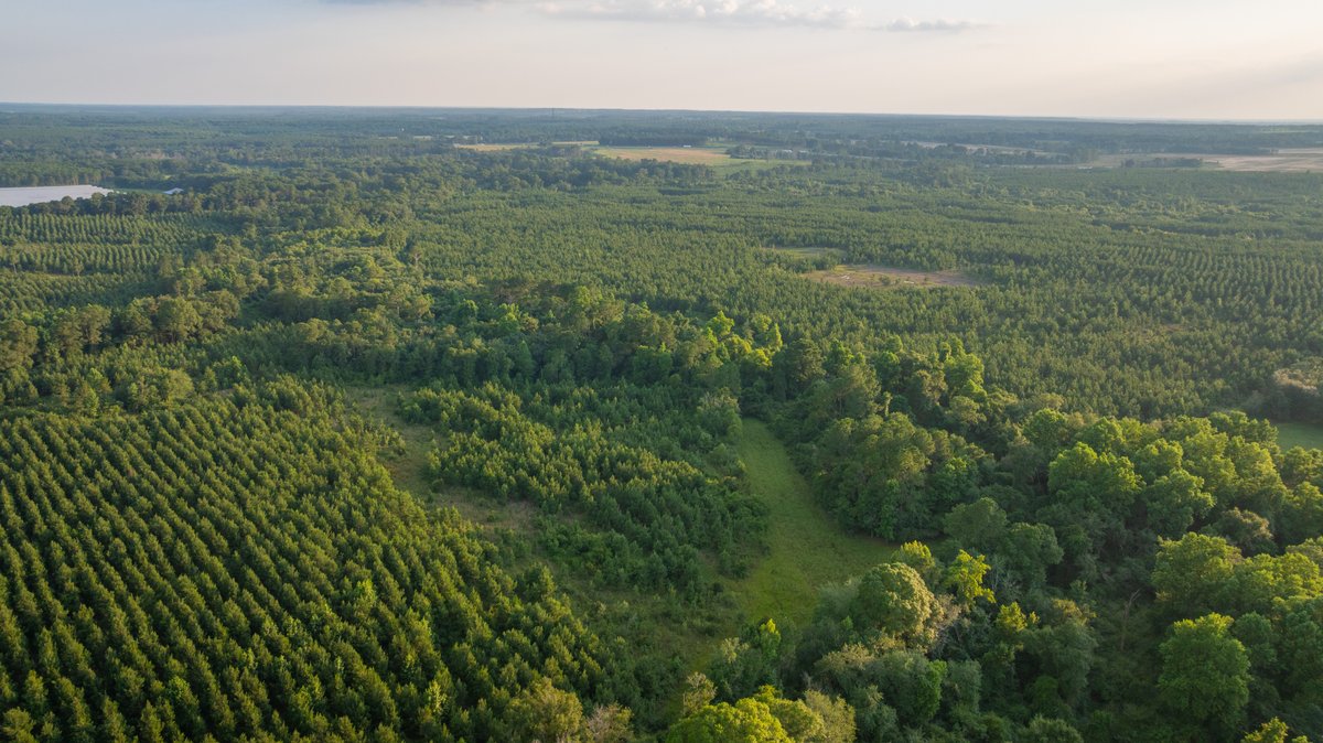Image for 378 +/- Acres - The Lime Creek Place - (2) Prime Crisp County Recreational Tracts - Offered Divided & As a Whole