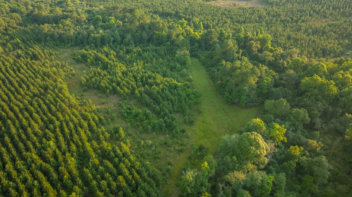 Image for 378 +/- Acres - The Lime Creek Place - (2) Prime Crisp County Recreational Tracts - Offered Divided & As a Whole