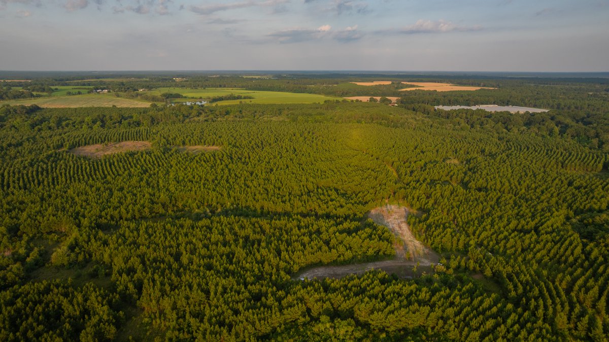 Image for 378 +/- Acres - The Lime Creek Place - (2) Prime Crisp County Recreational Tracts - Offered Divided & As a Whole