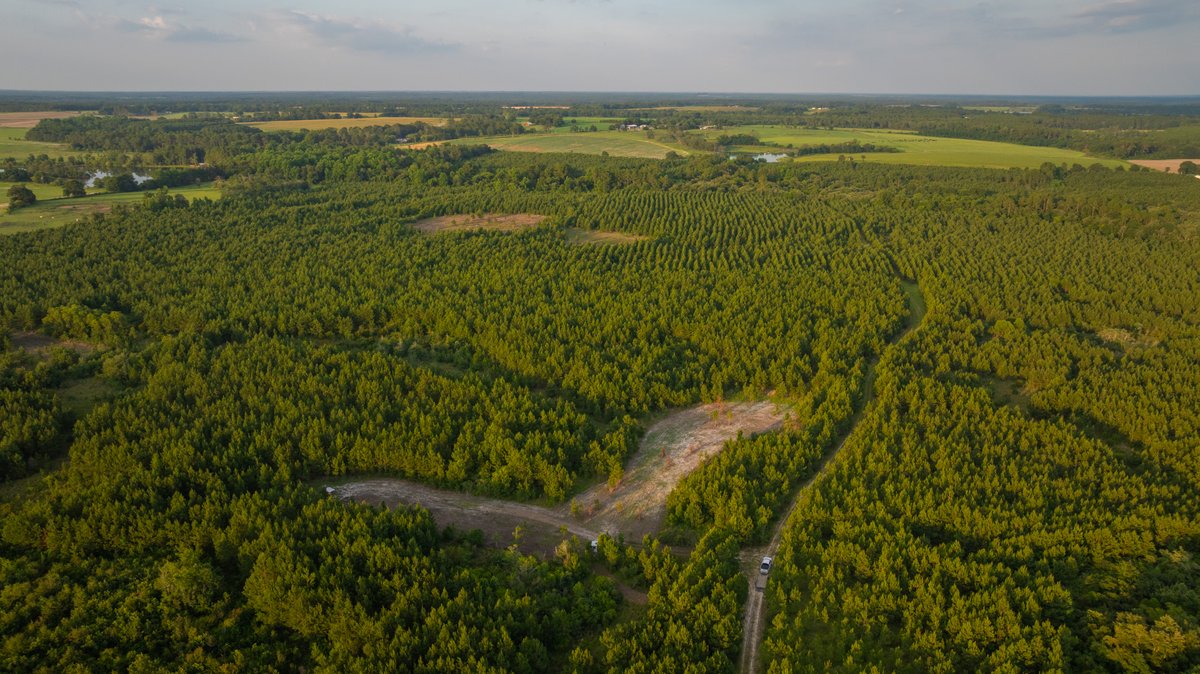 Image for 378 +/- Acres - The Lime Creek Place - (2) Prime Crisp County Recreational Tracts - Offered Divided & As a Whole
