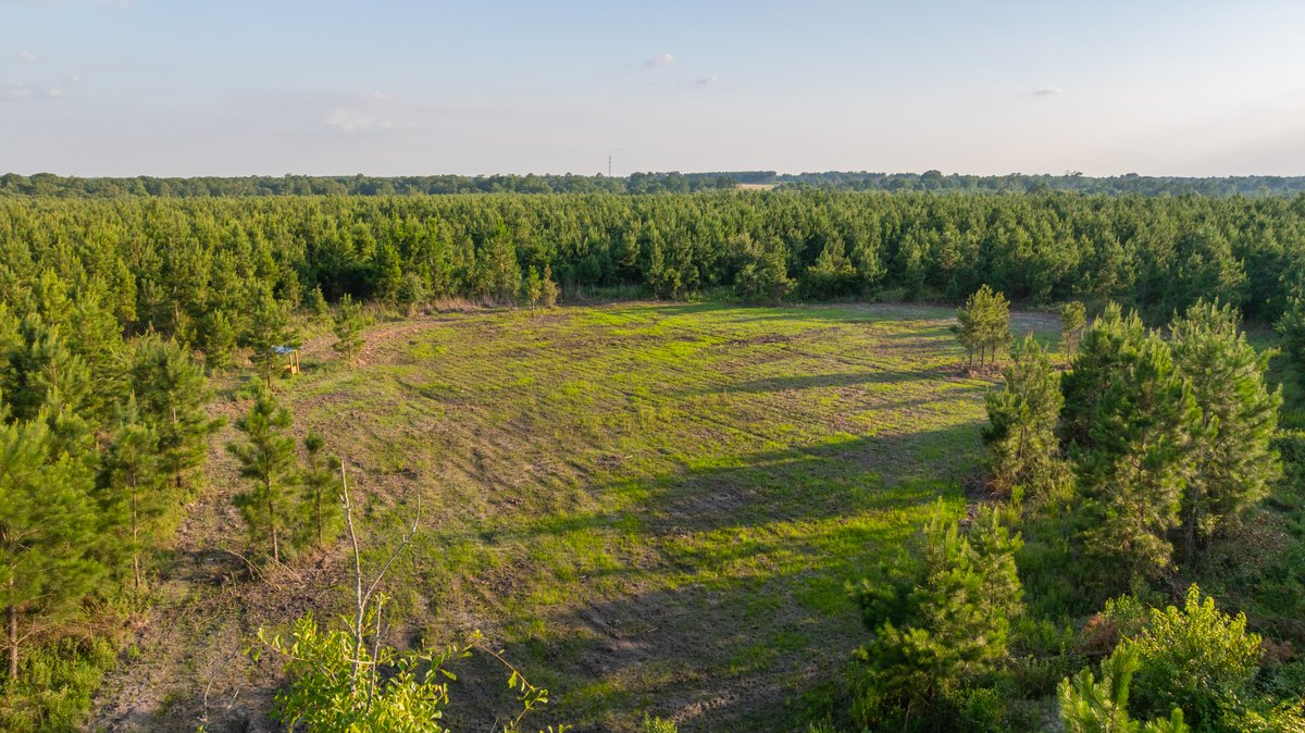 Image for 378 +/- Acres - The Lime Creek Place - (2) Prime Crisp County Recreational Tracts - Offered Divided & As a Whole
