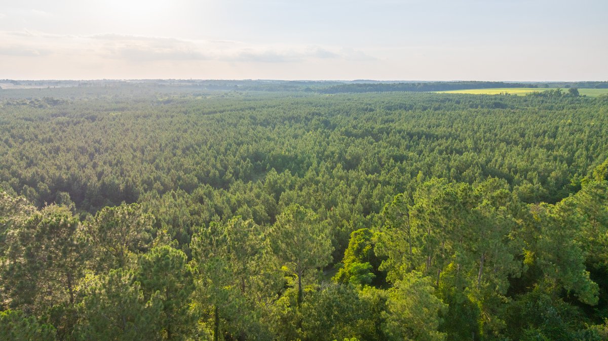 Image for 378 +/- Acres - The Lime Creek Place - (2) Prime Crisp County Recreational Tracts - Offered Divided & As a Whole