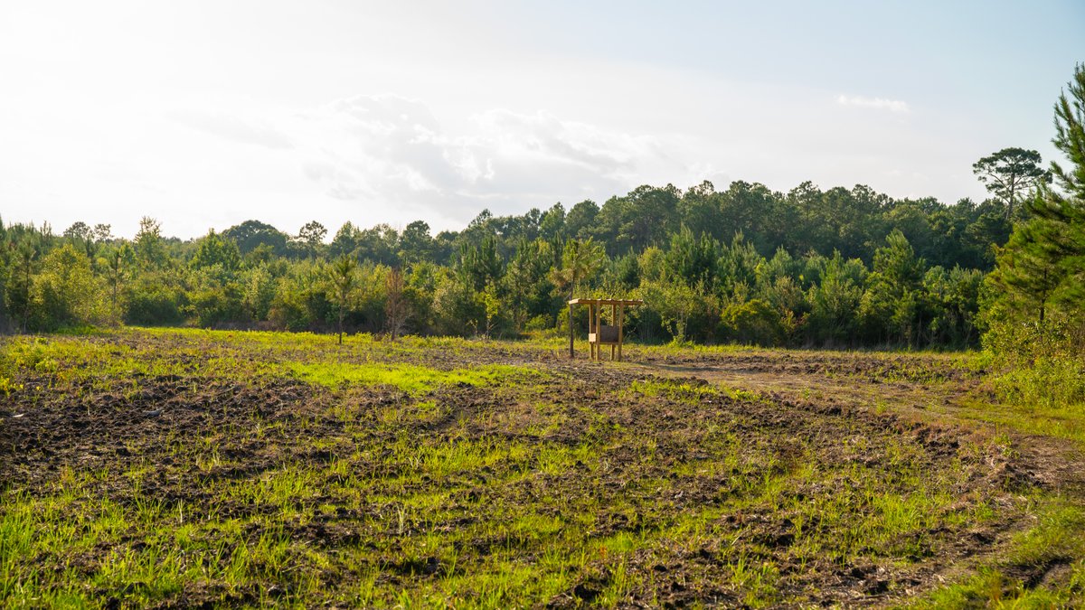 Image for 378 +/- Acres - The Lime Creek Place - (2) Prime Crisp County Recreational Tracts - Offered Divided & As a Whole