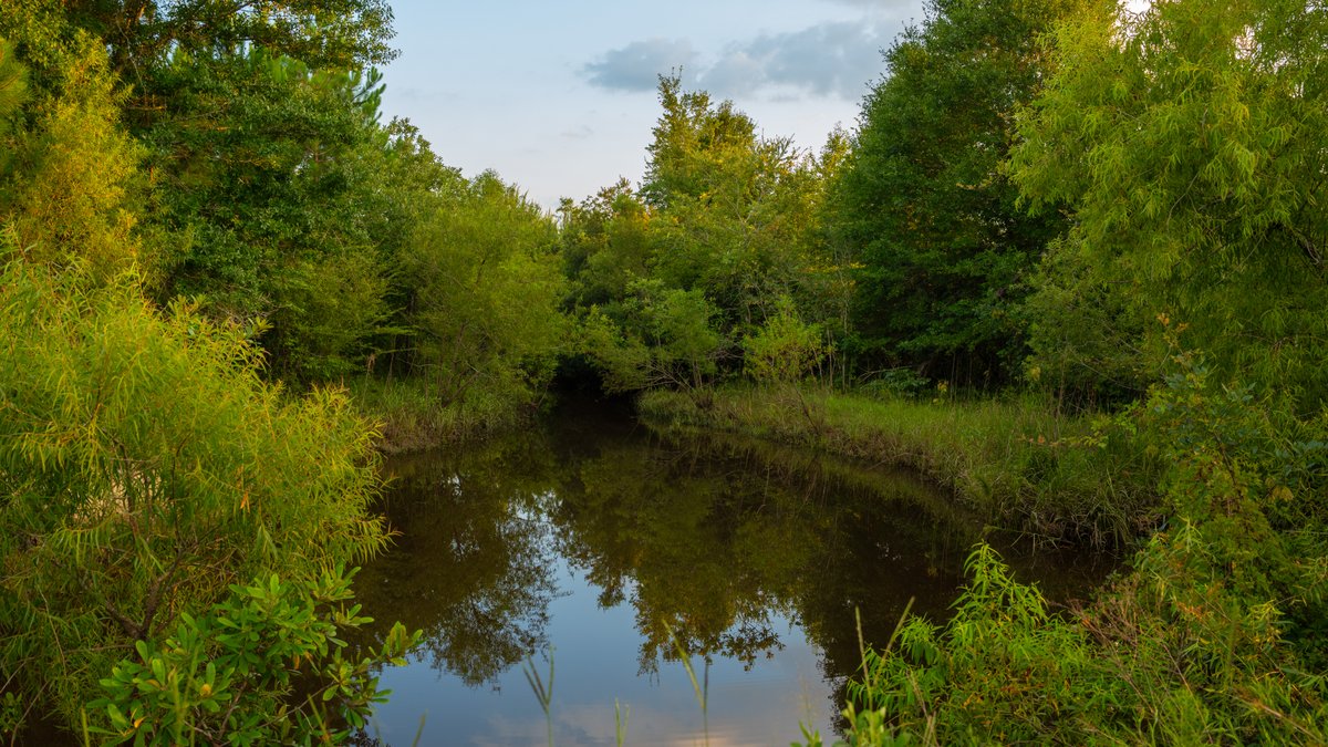 Image for 378 +/- Acres - The Lime Creek Place - (2) Prime Crisp County Recreational Tracts - Offered Divided & As a Whole