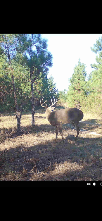 Image for 378 +/- Acres - The Lime Creek Place - (2) Prime Crisp County Recreational Tracts - Offered Divided & As a Whole