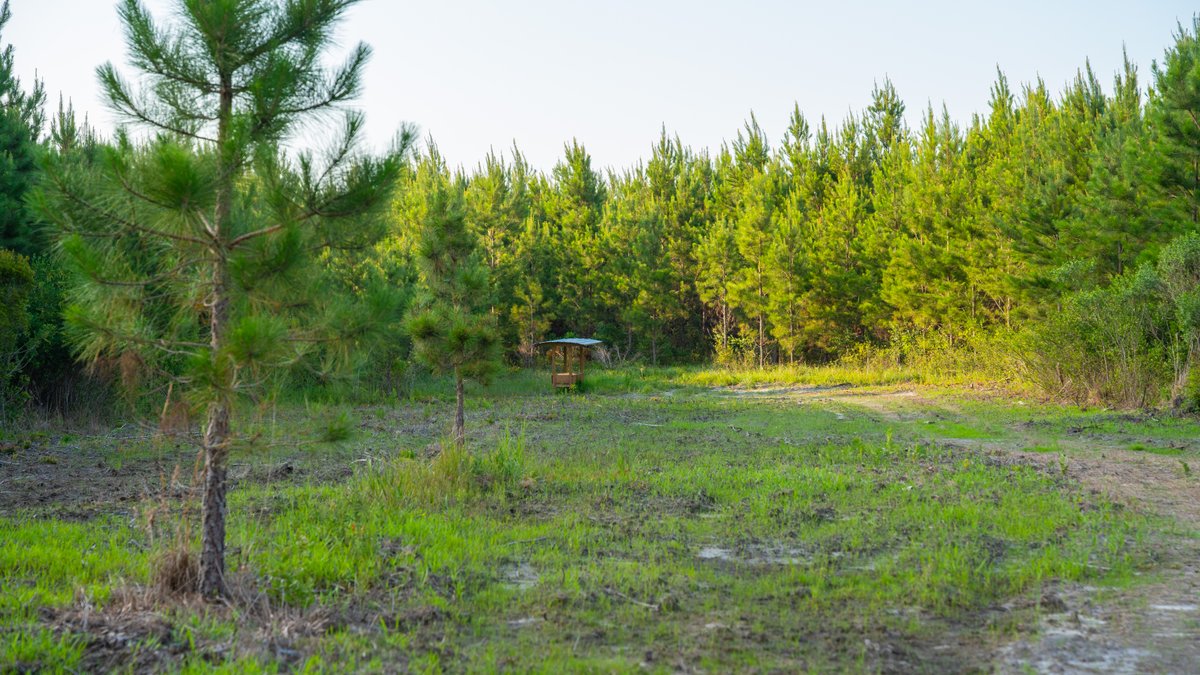 Image for 378 +/- Acres - The Lime Creek Place - (2) Prime Crisp County Recreational Tracts - Offered Divided & As a Whole