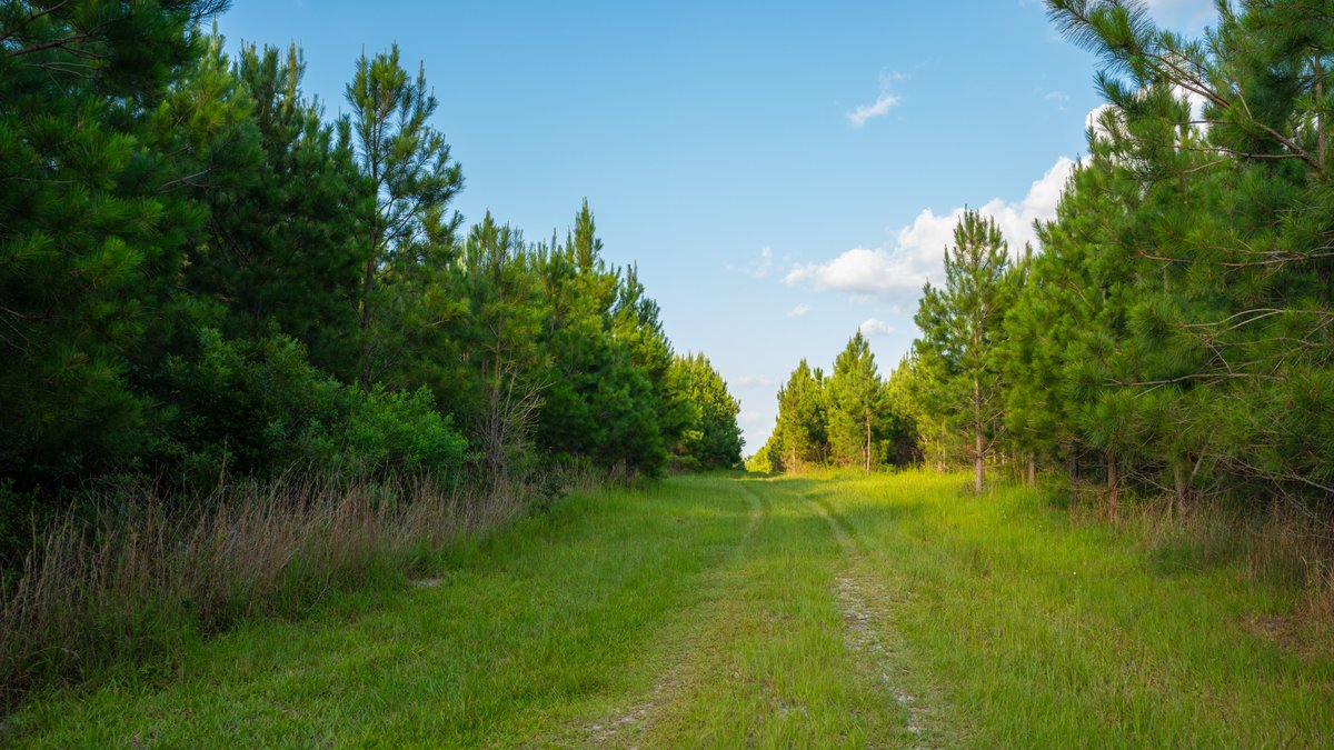 Image for 378 +/- Acres - The Lime Creek Place - (2) Prime Crisp County Recreational Tracts - Offered Divided & As a Whole