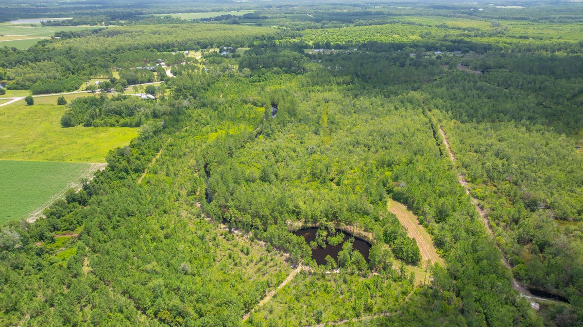 Image for 77± Acres - The Val Del Tract - Recreational and Homesite Opportunity