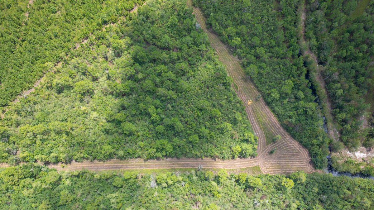 Image for 77± Acres - The Val Del Tract - Recreational and Homesite Opportunity