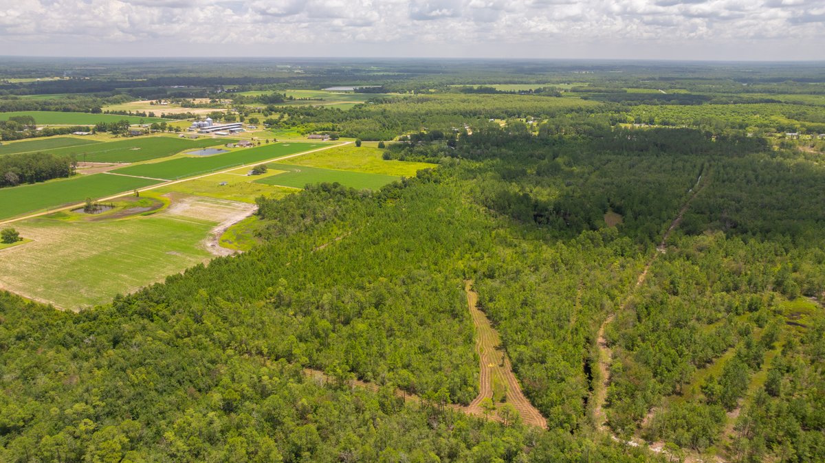Image for 77± Acres - The Val Del Tract - Recreational and Homesite Opportunity