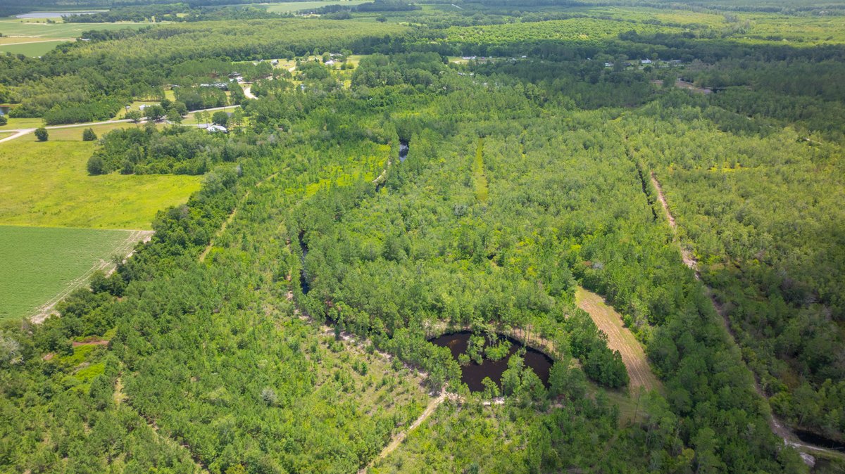 Image for 77± Acres - The Val Del Tract - Recreational and Homesite Opportunity