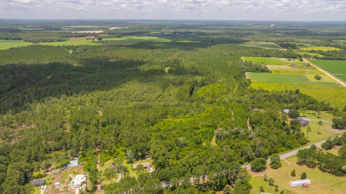 Image for 77± Acres - The Val Del Tract - Recreational and Homesite Opportunity