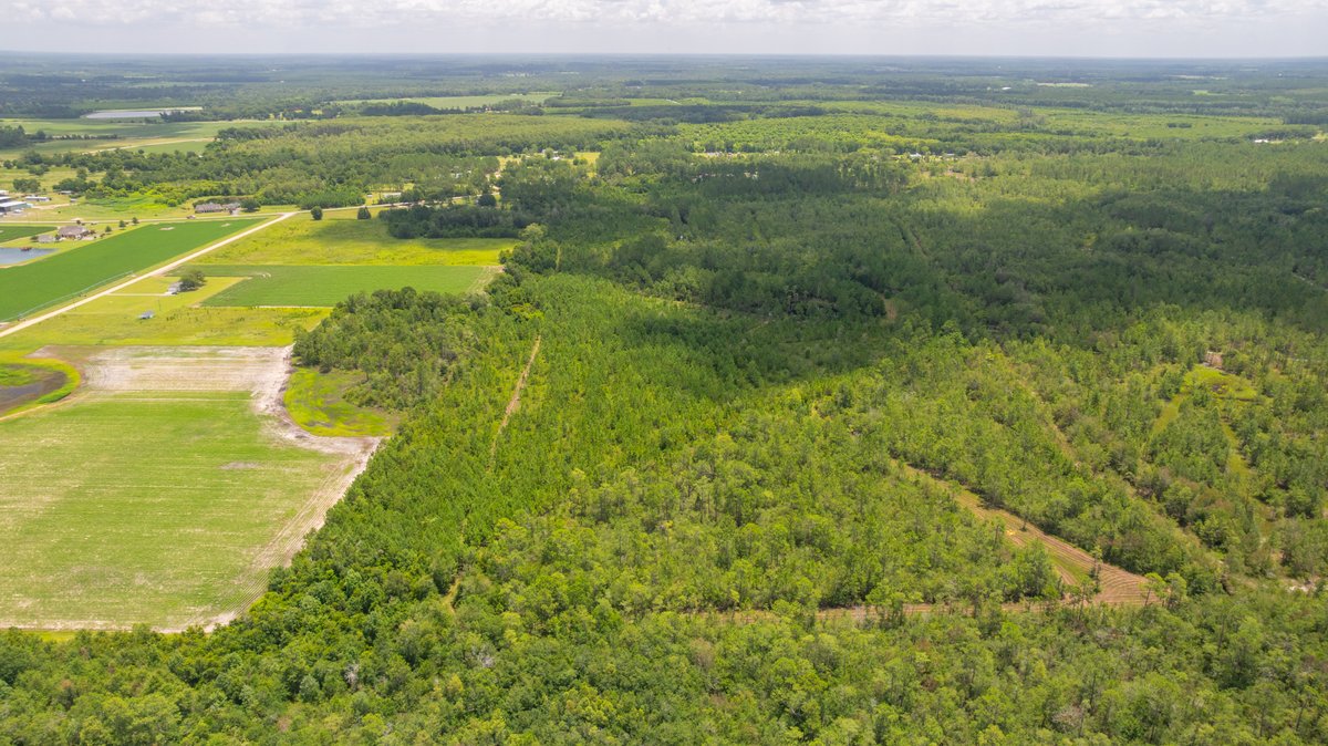 Image for 77± Acres - The Val Del Tract - Recreational and Homesite Opportunity