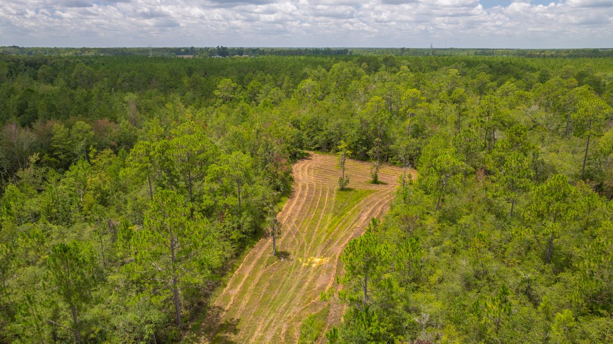 Image for 77± Acres - The Val Del Tract - Recreational and Homesite Opportunity