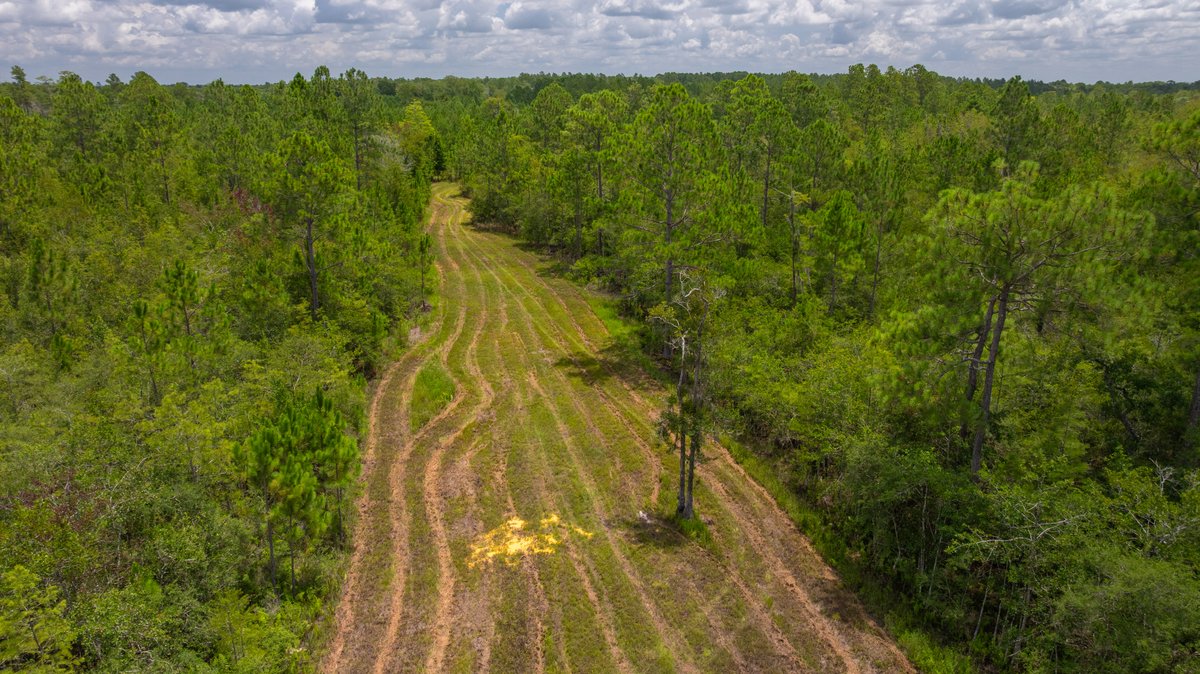 Image for 77± Acres - The Val Del Tract - Recreational and Homesite Opportunity