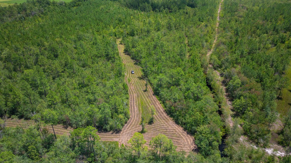 Image for 77± Acres - The Val Del Tract - Recreational and Homesite Opportunity