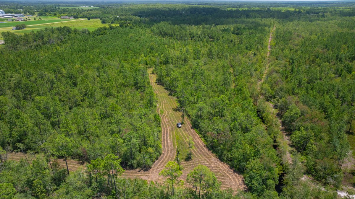 Image for 77± Acres - The Val Del Tract - Recreational and Homesite Opportunity