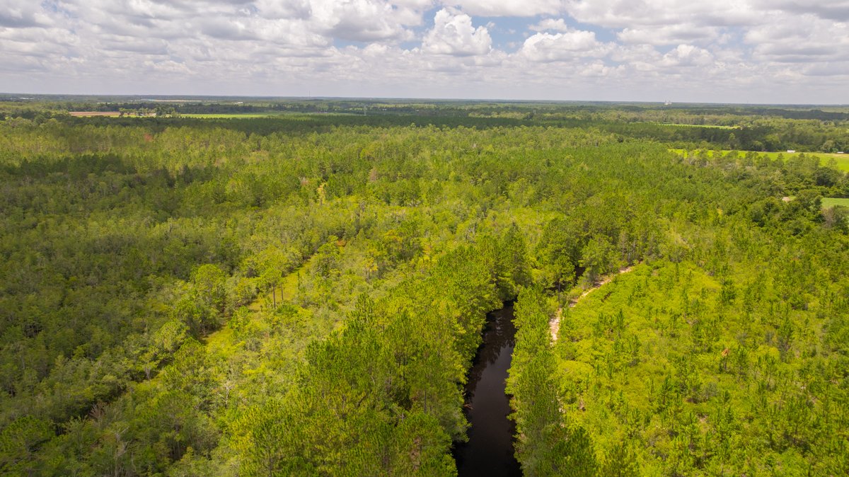 Image for 77± Acres - The Val Del Tract - Recreational and Homesite Opportunity