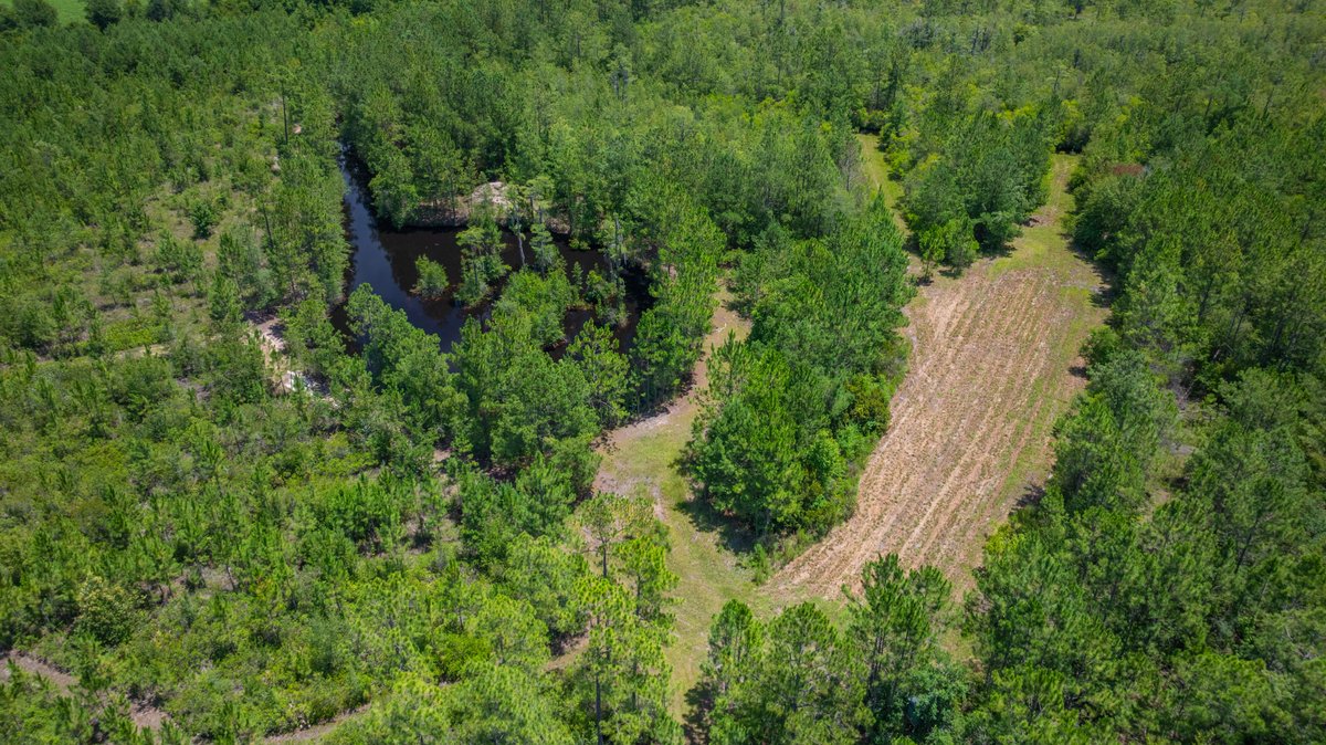Image for 77± Acres - The Val Del Tract - Recreational and Homesite Opportunity