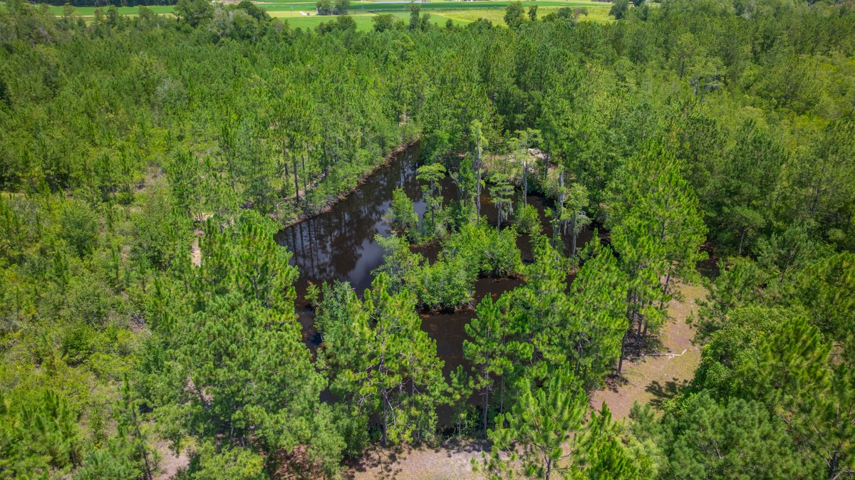 Image for 77± Acres - The Val Del Tract - Recreational and Homesite Opportunity