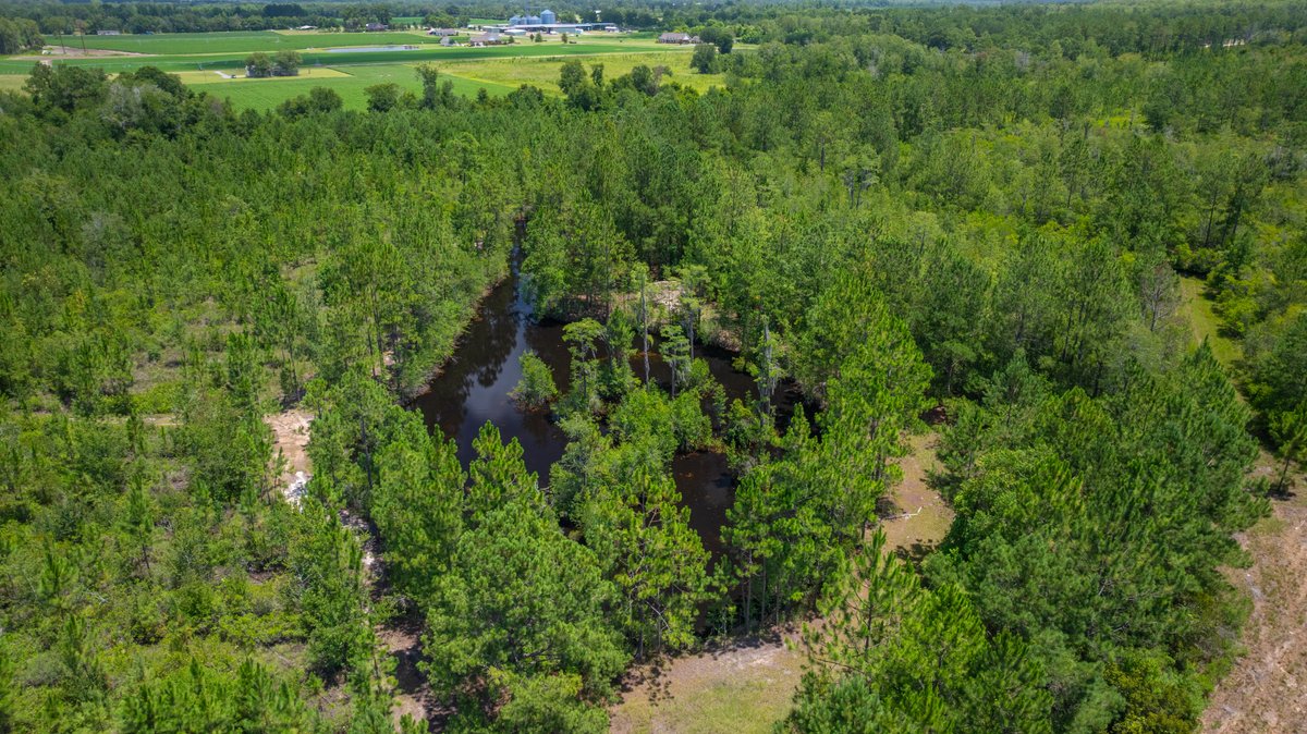 Image for 77± Acres - The Val Del Tract - Recreational and Homesite Opportunity