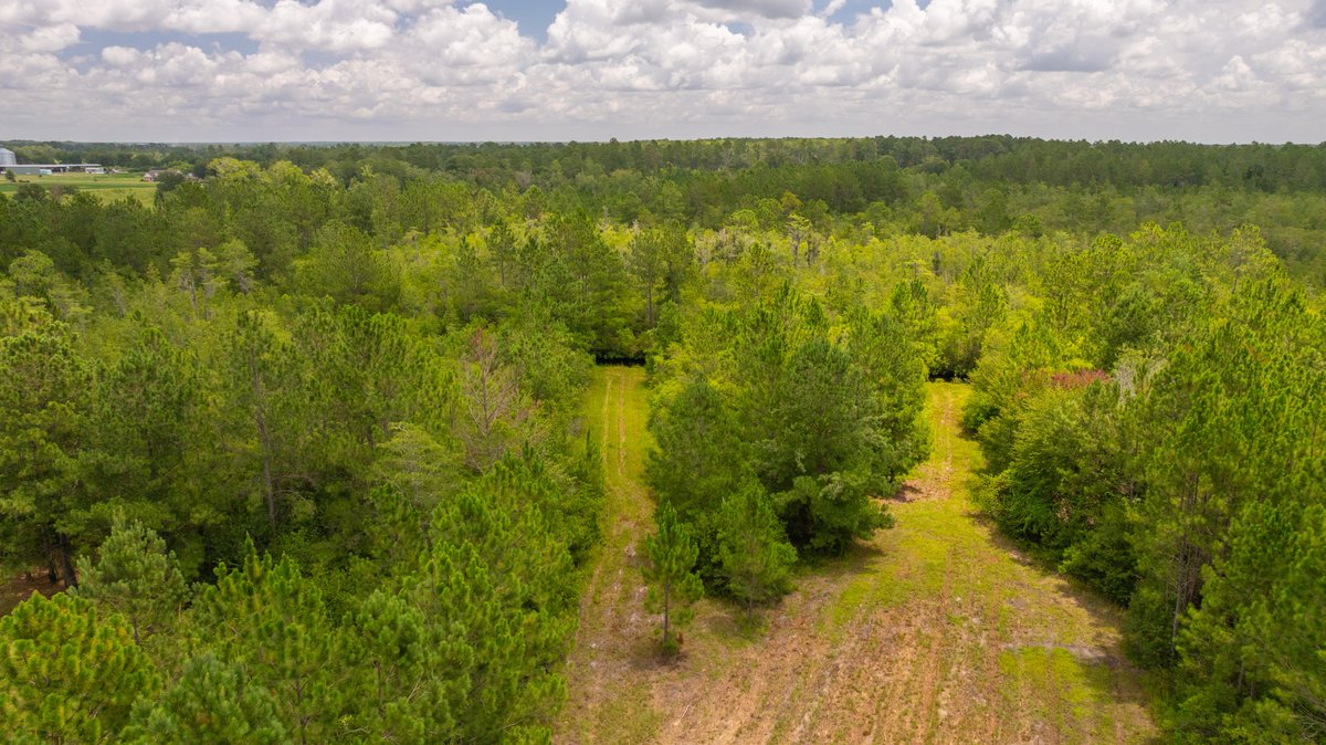 Image for 77± Acres - The Val Del Tract - Recreational and Homesite Opportunity