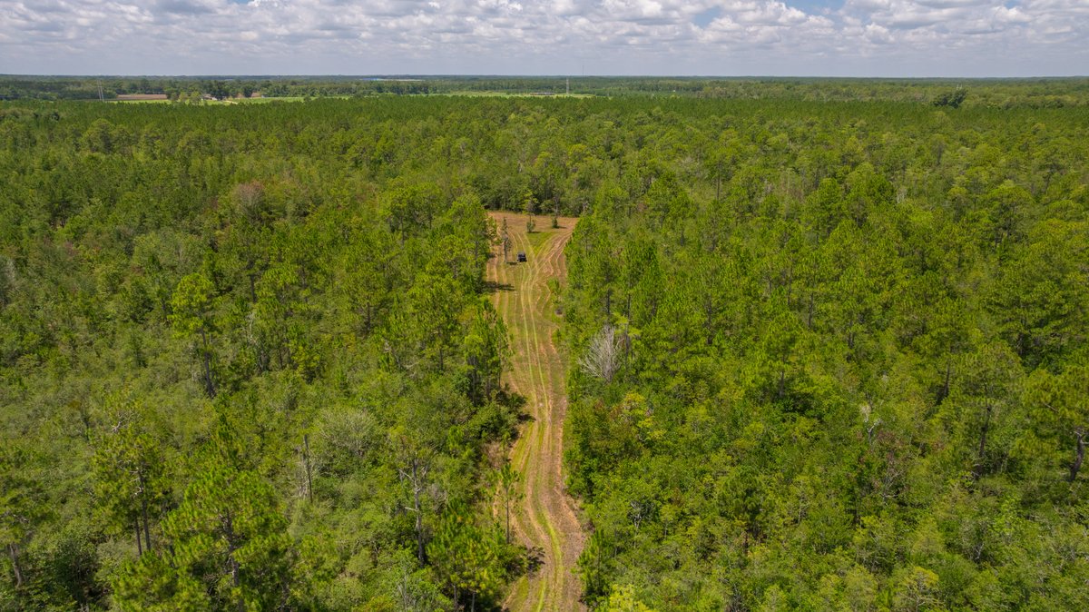 Image for 77± Acres - The Val Del Tract - Recreational and Homesite Opportunity