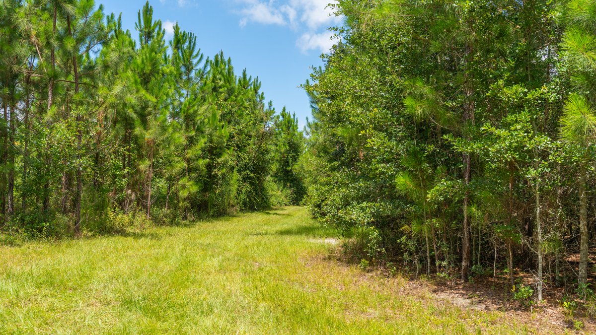 Image for 77± Acres - The Val Del Tract - Recreational and Homesite Opportunity